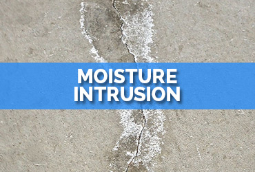Moisture Intrusion Repair FL| A1 Roofing & Waterproofing